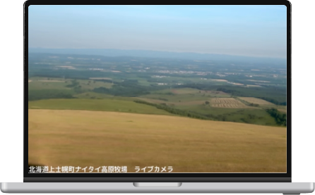 ライブカメラ